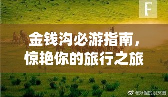金钱沟必游指南，惊艳你的旅行之旅！