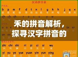 禾的拼音解析，探寻汉字拼音的奥秘与魅力