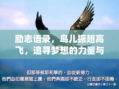 励志语录，鸟儿振翅高飞，追寻梦想的力量与勇气