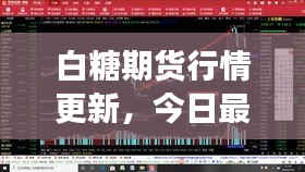 兵贵神速 第2页