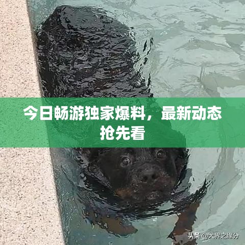 今日畅游独家爆料，最新动态抢先看