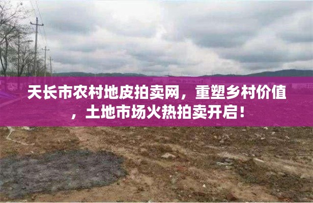 天长市农村地皮拍卖网，重塑乡村价值，土地市场火热拍卖开启！