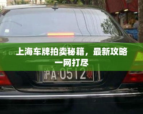 上海车牌拍卖秘籍，最新攻略一网打尽