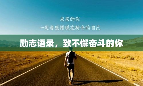 励志语录，致不懈奋斗的你