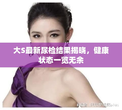 大S最新尿检结果揭晓，健康状态一览无余
