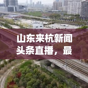 山东来杭新闻头条直播，最新动态与热点话题深度解读