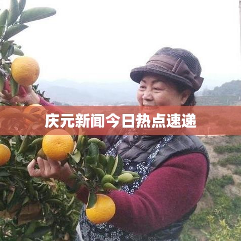 庆元新闻今日热点速递