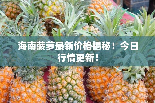 海南菠萝最新价格揭秘！今日行情更新！
