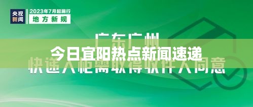 今日宜阳热点新闻速递