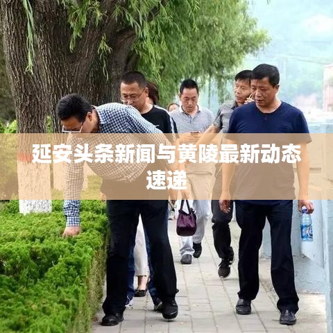 延安头条新闻与黄陵最新动态速递
