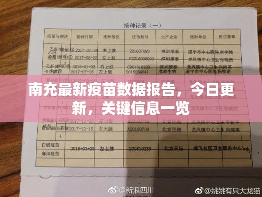 南充最新疫苗数据报告，今日更新，关键信息一览