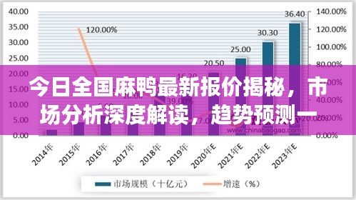 今日全国麻鸭最新报价揭秘，市场分析深度解读，趋势预测一网打尽
