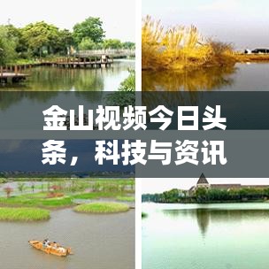金山视频今日头条，科技与资讯的交融盛宴