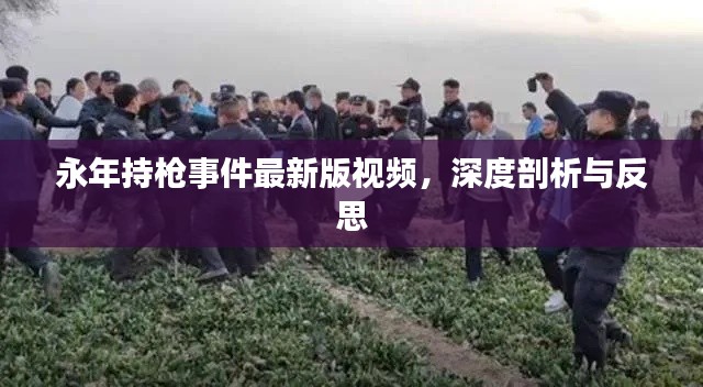永年持枪事件最新版视频，深度剖析与反思