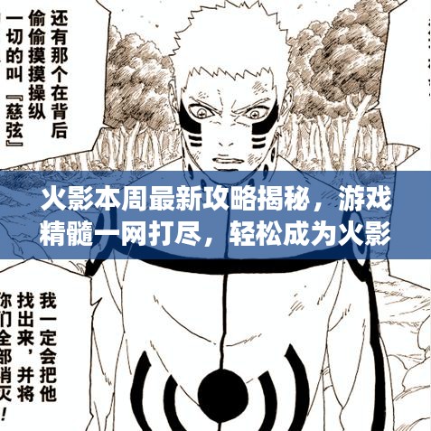 火影本周最新攻略揭秘，游戏精髓一网打尽，轻松成为火影霸主！