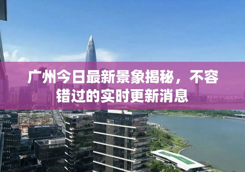 广州今日最新景象揭秘，不容错过的实时更新消息