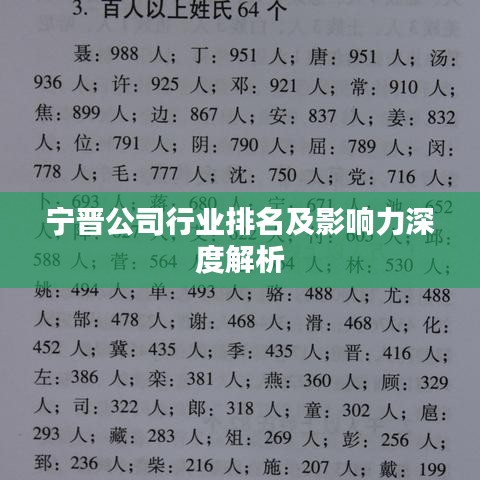 宁晋公司行业排名及影响力深度解析