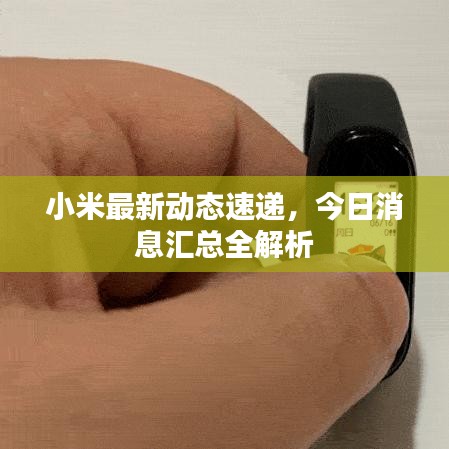 小米最新动态速递，今日消息汇总全解析