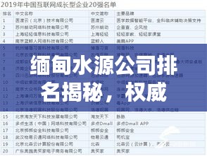缅甸水源公司排名揭秘，权威榜单揭晓，这些公司领跑行业！