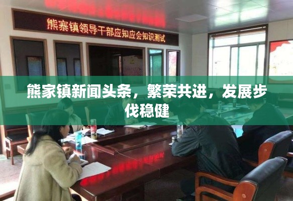 熊家镇新闻头条，繁荣共进，发展步伐稳健