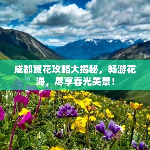 成都赏花攻略大揭秘，畅游花海，尽享春光美景！