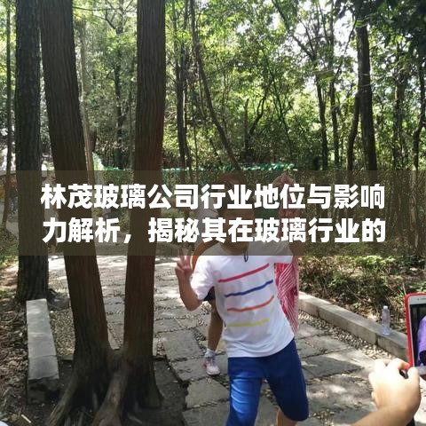 林茂玻璃公司行业地位与影响力解析，揭秘其在玻璃行业的排名与影响力