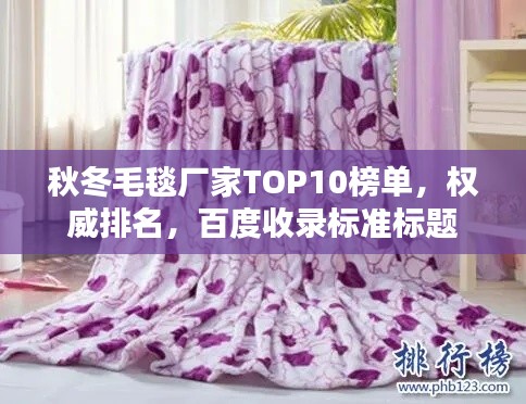 秋冬毛毯厂家TOP10榜单，权威排名，百度收录标准标题