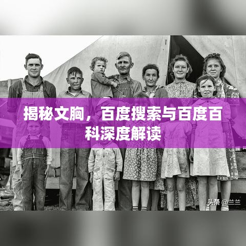 揭秘文胸，百度搜索与百度百科深度解读