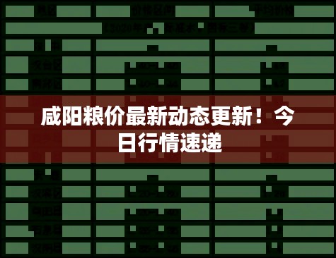 咸阳粮价最新动态更新！今日行情速递