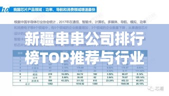 新疆串串公司排行榜TOP推荐与行业深度解析