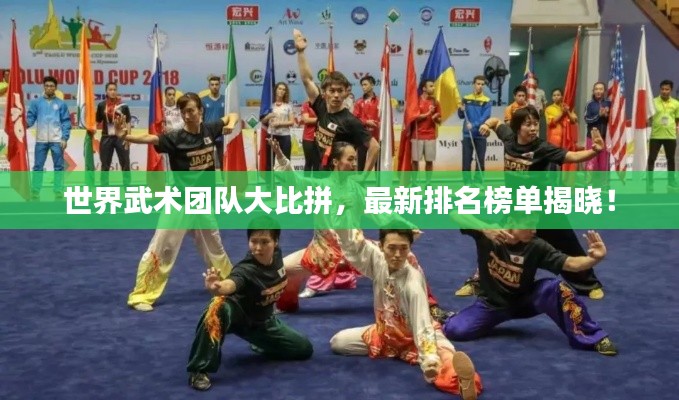 世界武术团队大比拼，最新排名榜单揭晓！