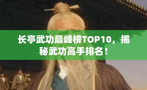 长亭武功巅峰榜TOP10，揭秘武功高手排名！