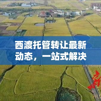 西渡托管转让最新动态，一站式解决方案热线，满足您一切需求