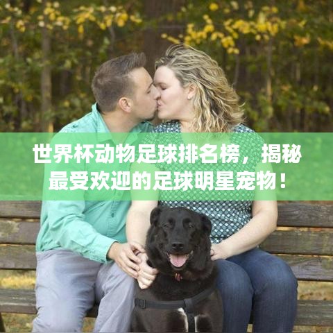 世界杯动物足球排名榜，揭秘最受欢迎的足球明星宠物！