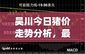 吴川今日猪价走势分析，最新行情解读