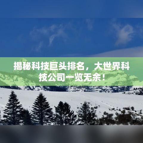 揭秘科技巨头排名，大世界科技公司一览无余！