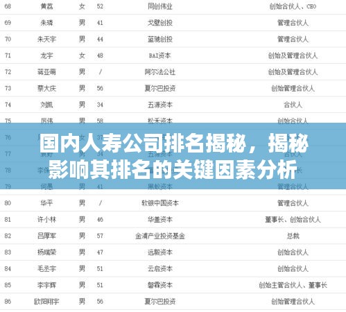 国内人寿公司排名揭秘，揭秘影响其排名的关键因素分析