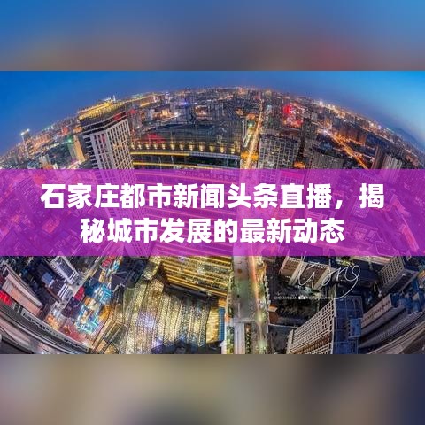 石家庄都市新闻头条直播，揭秘城市发展的最新动态