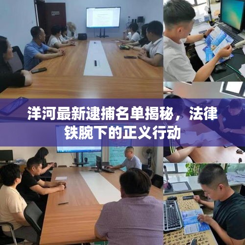 洋河最新逮捕名单揭秘，法律铁腕下的正义行动