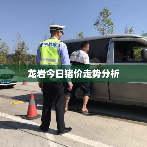 龙岩今日猪价走势分析