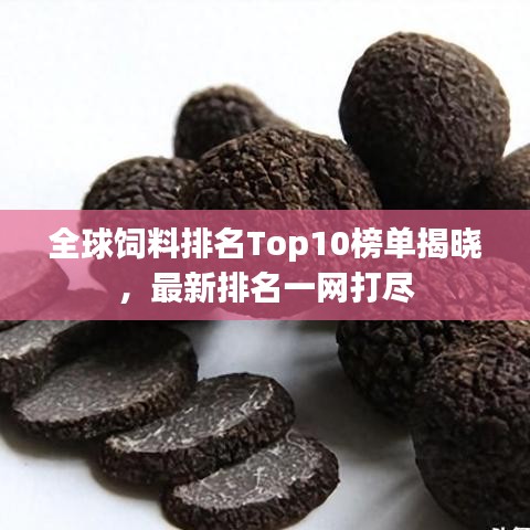 全球饲料排名Top10榜单揭晓，最新排名一网打尽