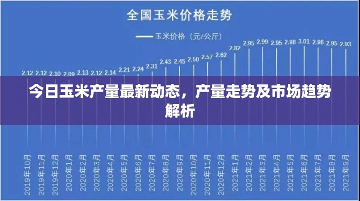 今日玉米产量最新动态，产量走势及市场趋势解析