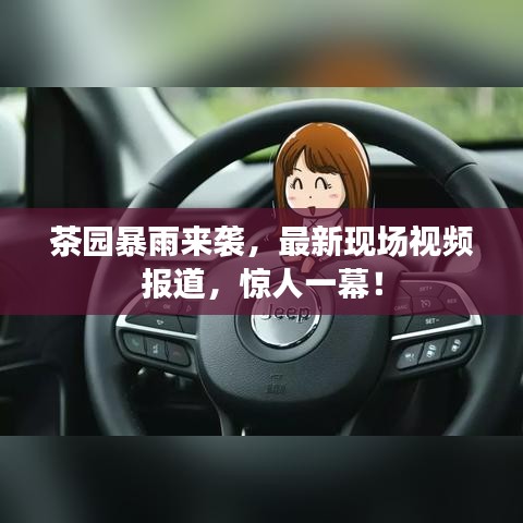 茶园暴雨来袭，最新现场视频报道，惊人一幕！