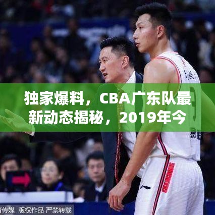 独家爆料，CBA广东队最新动态揭秘，2019年今日消息一网打尽！