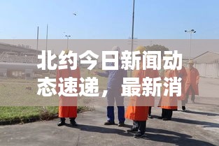 北约今日新闻动态速递，最新消息一览