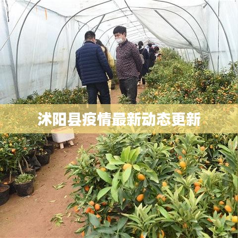 沭阳县疫情最新动态更新