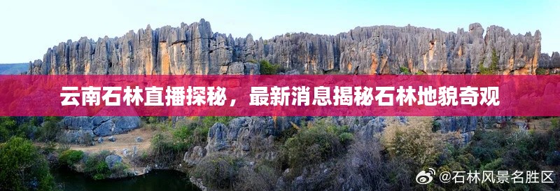 云南石林直播探秘，最新消息揭秘石林地貌奇观