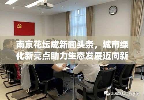 南京花坛成新闻头条，城市绿化新亮点助力生态发展迈向新高度