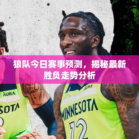 狼队今日赛事预测，揭秘最新胜负走势分析