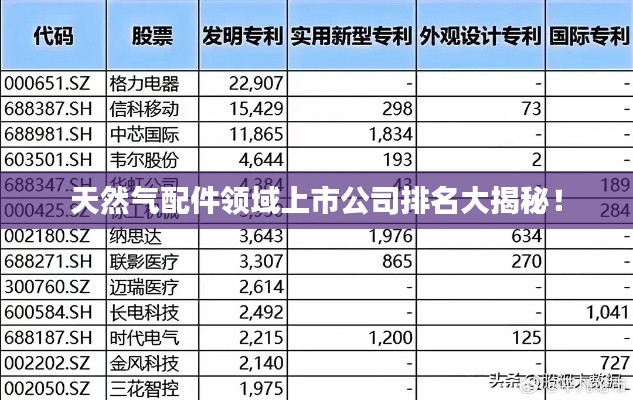 天然气配件领域上市公司排名大揭秘！